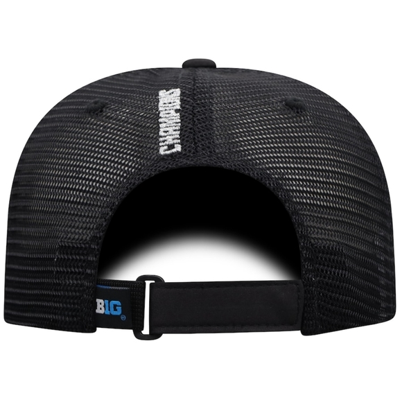 Ohio State Buckeyes 2020 Big Ten Football Champions  Cap - Picture 2 of 4